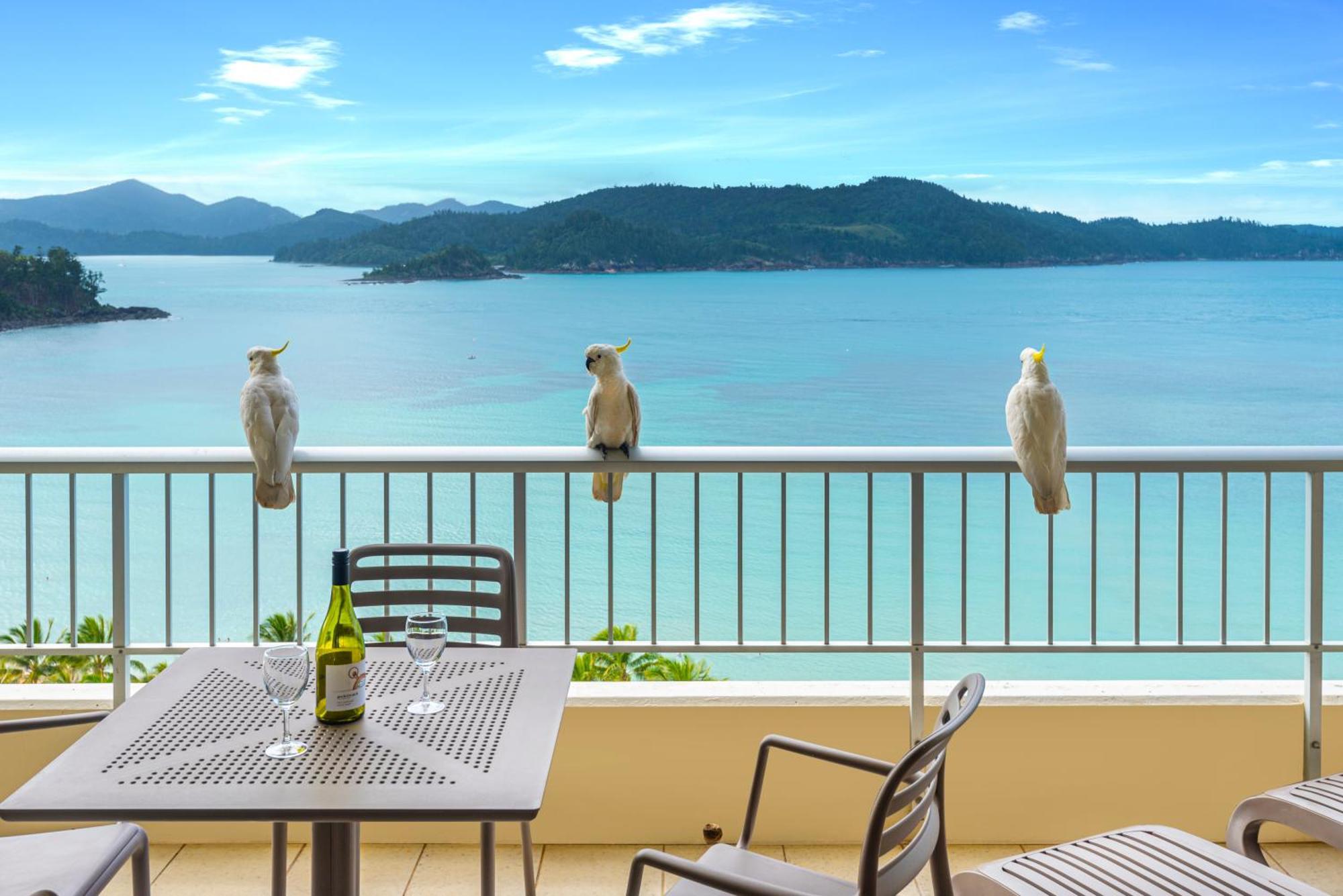 Whitsunday Apartments On Hamilton Island By Hiha Esterno foto